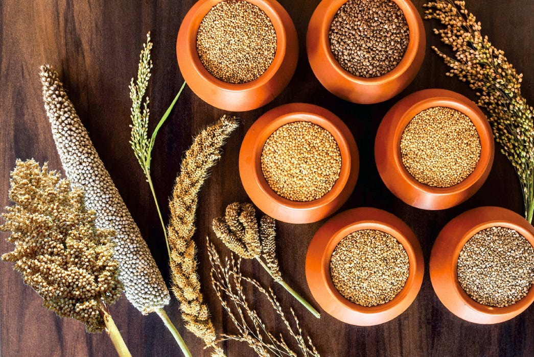 Why Millets Are the Best Grains for Modern Lifestyles