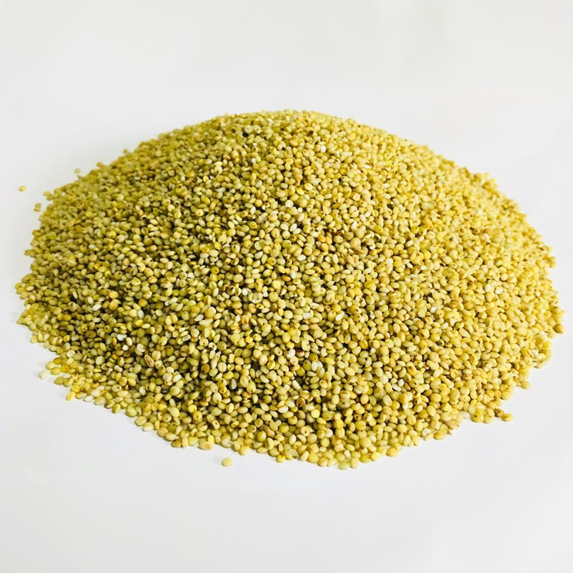 BROWN TOP MILLET