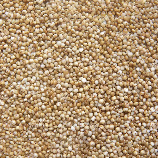 KODU MILLET