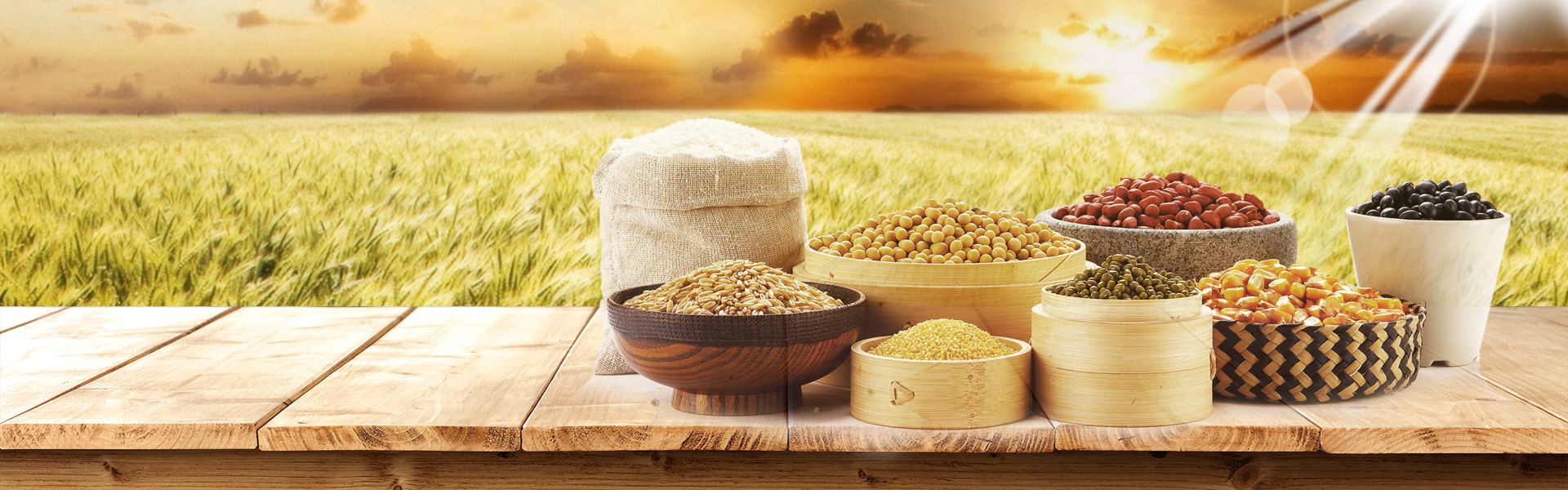 Wheat field and hills